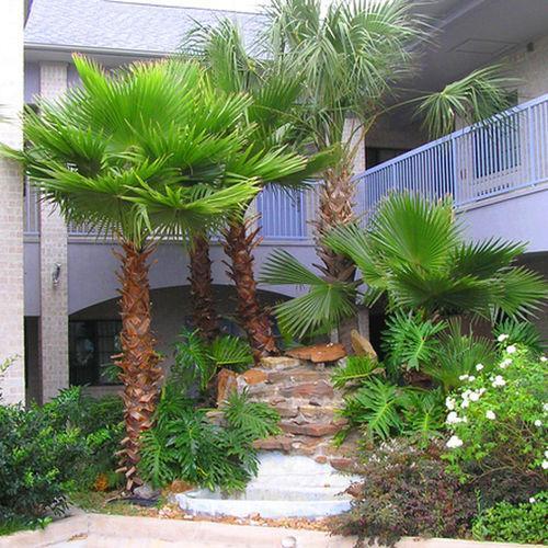 Scott Inn & Suites - Downtown Houston Luaran gambar